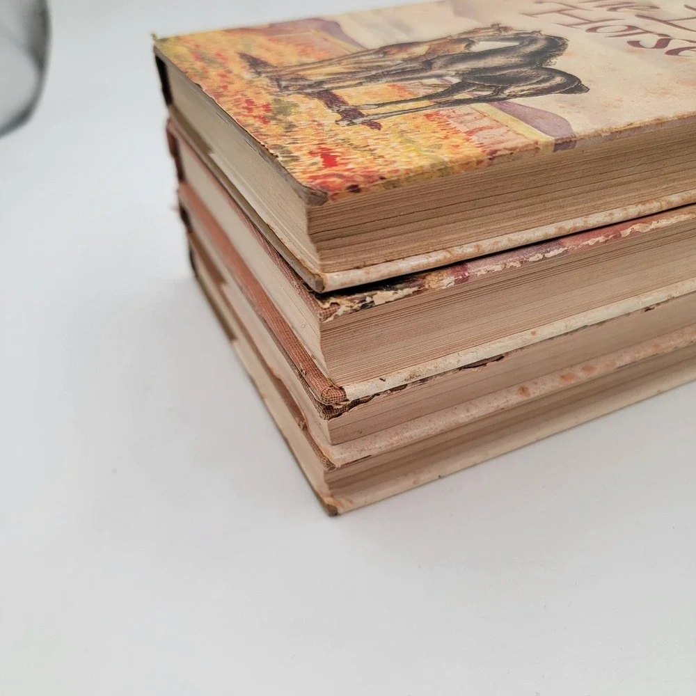 Will James 5 Book Lot The American Coyboy Sun Up Cowboys Cow Cntry Hardcver Fair
